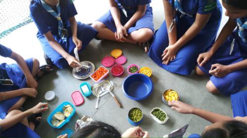 Cooking Activity Scout & Guide